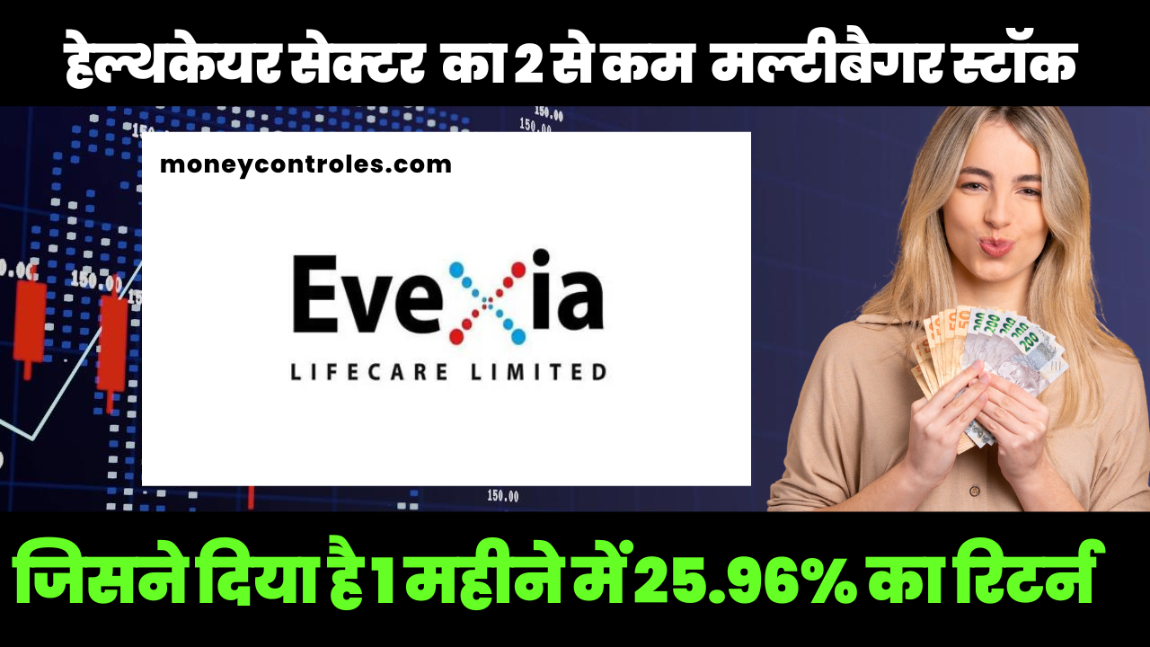 Multibagger Stock : Evexia Lifecare share price