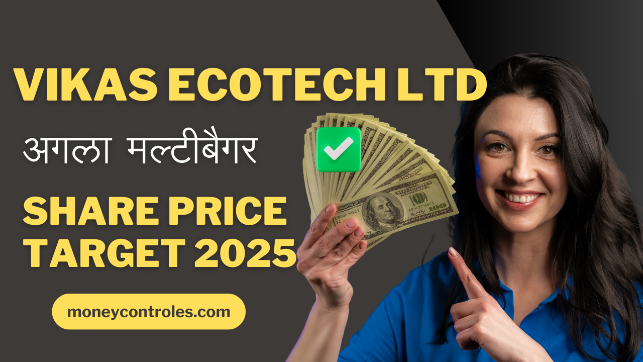 vikas ecotech share price